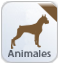 Seguros para animales, seguros para mascotas